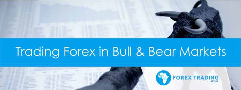 Trading Forex in Bull and Bear Markets
